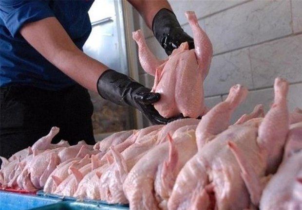 فراوری بالغ بر 20 هزار تن گوشت مرغ صنعتی در استان زنجان