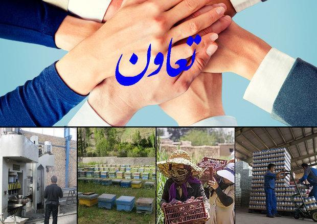 تشکیل 280 تعاونی جدید در دی ماه، کاهش 38 درصدی ایجاد تعاونی ها تشکیل 280 تعاونی جدید در دی ماه، کاهش 38 درصدی ایجاد تعاونی ها