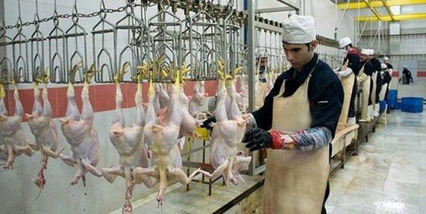 حقوق ماهیانه 2500 یورویی برای ناظران شرعی واردات مرغ از ترکیه! حقوق ماهیانه 2500 یورویی برای ناظران شرعی واردات مرغ از ترکیه!