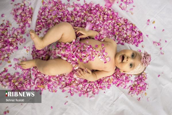 (تصاویر) آیین ملی و مذهبی گل غلتان (تصاویر) آیین ملی و مذهبی گل غلتان