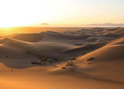 ملاقات با سیاه گوش در کاراکال