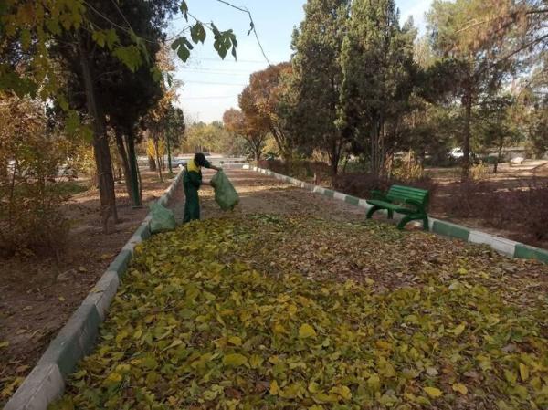 بوستان ها؛ آماده ثبت عکس های پاییزی بوستان ها؛ آماده ثبت عکس های پاییزی