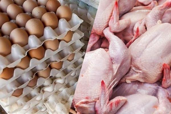 آخرین قیمت مرغ و تخم مرغ ، قیمت یک شانه 30 عددی تخم مرغ چند آخرین قیمت مرغ و تخم مرغ ، قیمت یک شانه 30 عددی تخم مرغ چند شد؟