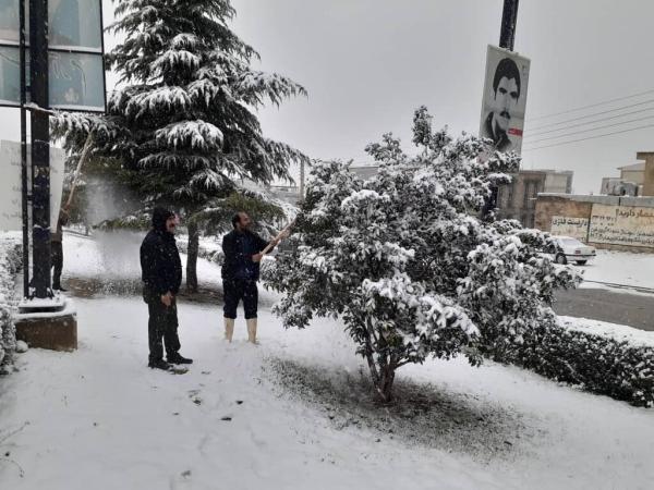 برف روبی معابر و درختان شروع شد ، 23 هزار نیروی خدمات شهری مشغول پاکسازی تهران هستند