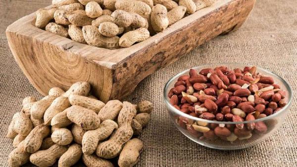 روشی برای کاهش حساسیت به بادام زمینی روشی برای کاهش حساسیت به بادام زمینی