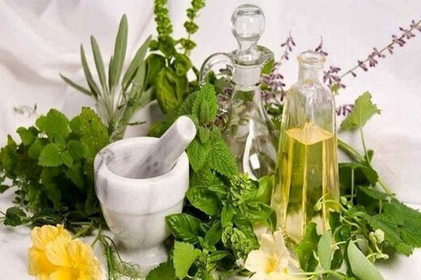 با این گیاه از سرماخوردگی پیشگیری کنید با این گیاه از سرماخوردگی پیشگیری کنید