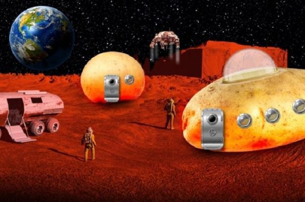 یک نظریه عجیب اما باورپذیر ، انسان ها در مریخ داخل سیب زمینی زندگی می نمایند!